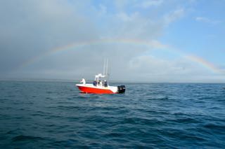 Cape Cod Fishing with Reel Deal - Late August 2015