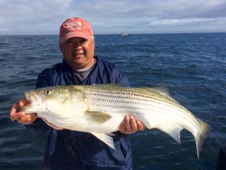 Cape Cod Fishing with Reel Deal - Late August 2015