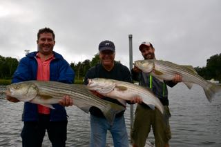 Cape Cod Fishing with Reel Deal - Late August 2015