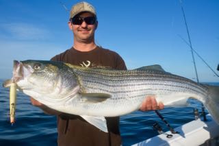 Topwater Gibbs Action! - June 20, 2015