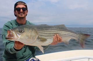 Cape Cod Striper Fishing - Mid July 2015