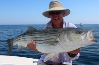 Cape Cod Striper Fishing - Mid July 2015