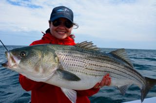 Big Striped Bass off Cape Cod - May 31, 2015