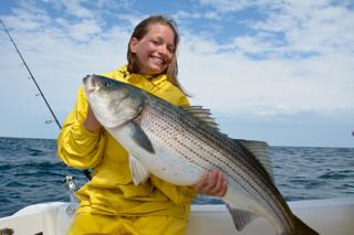 Big Striped Bass off Cape Cod - May 31, 2015