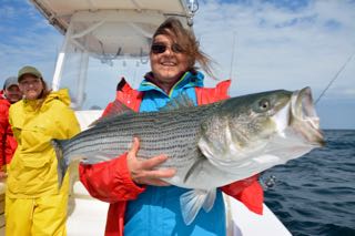 Big Striped Bass off Cape Cod - May 31, 2015