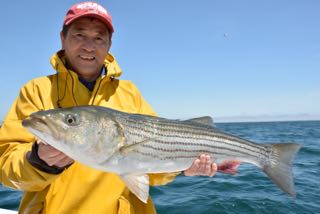 Light Tackle Bass Bite Begins! - May 18, 2015