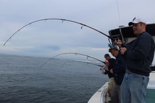 Deep Sea Fishing Cape Cod - June 18, 2015