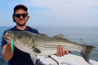Reel Deal Fishing Cape Cod - Late Summer 2015