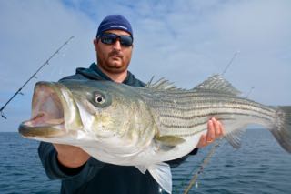 Cape Cod Fishing Charters - July 2015
