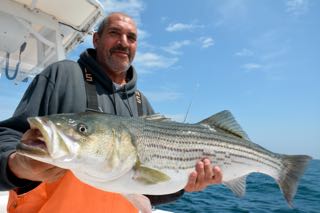 Cape Cod Fishing Charters - July 2015