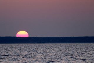 Cape Cod Fishing Charters - July 2015
