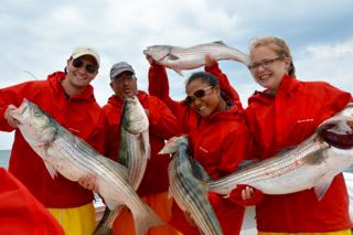 Cape Cod Bass and Blues Fishing - Late July 2015