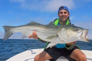 Cape Cod Bass and Blues Fishing - Late July 2015