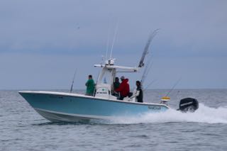 Cape Cod Bass and Blues Fishing - Late July 2015