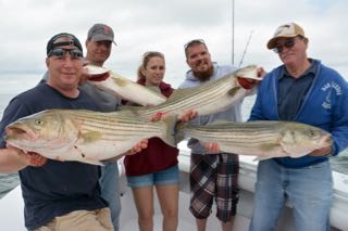 Cape Cod Bass and Blues Fishing - Late July 2015
