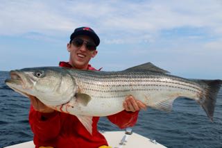Cape Cod Bass and Blues Fishing - Late July 2015