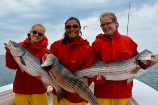 Cape Cod Bass and Blues Fishing - Late July 2015