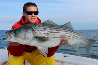 June Striped Bass Fishing Continues to Rock! - June 8, 2015