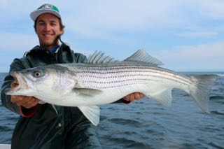 June Striped Bass Fishing Continues to Rock! - June 8, 2015