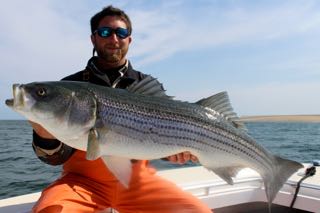 June Striped Bass Fishing Continues to Rock! - June 8, 2015
