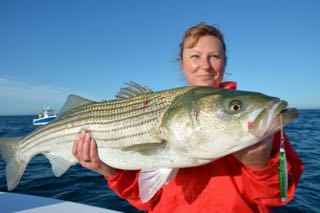 Early June Stripers - June 10, 2015