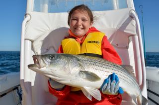 Early June Stripers - June 10, 2015