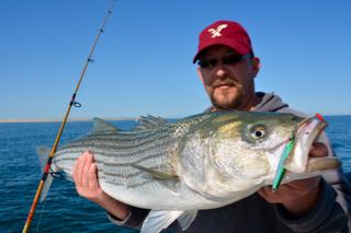 Early June Stripers - June 10, 2015