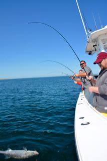 Early June Stripers - June 10, 2015