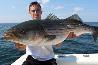 Light Tackle Fishing Cape Cod - Mid August 2015