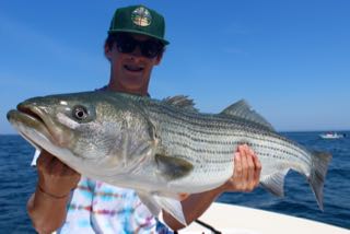 Light Tackle Fishing Cape Cod - Mid August 2015
