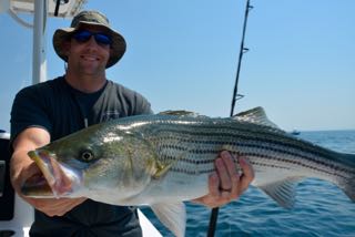 Light Tackle Fishing Cape Cod - Mid August 2015