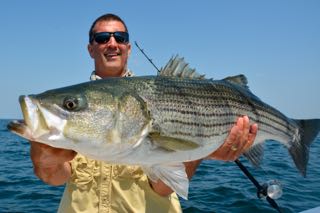 Light Tackle Fishing Cape Cod - Mid August 2015