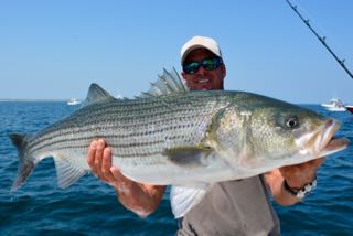 Light Tackle Fishing Cape Cod - Mid August 2015