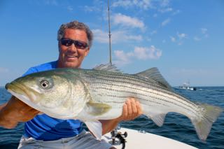 Light Tackle Fishing Cape Cod - Mid August 2015
