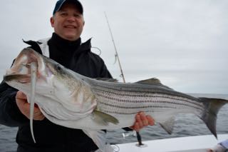 Tight Lines off Cape Cod! - June 6, 2015