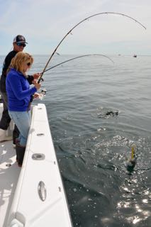 RonZ, Daddy Mac and Gibbs Lures Bring in the Keepers! - June 7, 2015