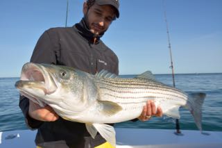 RonZ, Daddy Mac and Gibbs Lures Bring in the Keepers! - June 7, 2015