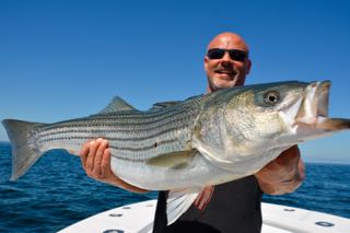 Awesome Cape Cod Bass Fishing - May 29, 2015