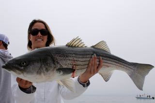 Awesome Cape Cod Bass Fishing - May 29, 2015