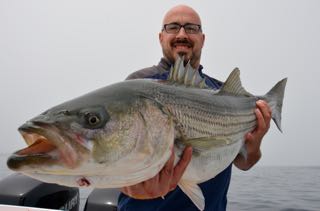 Awesome Cape Cod Bass Fishing - May 29, 2015