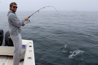Awesome Cape Cod Bass Fishing - May 29, 2015