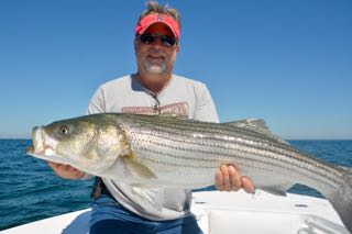Cape Cod's Best Fishing Charter - Late July 2015