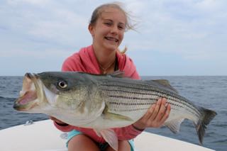 Cape Cod's Best Fishing Charter - Late July 2015