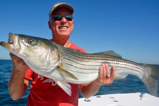 Cape Cod's Best Fishing Charter - Late July 2015