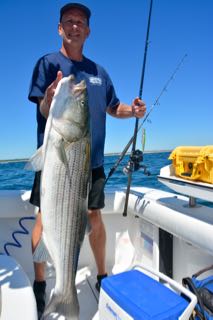 Deep Sea Fishing Cape Cod - Early August 2015
