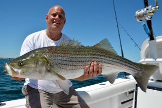Deep Sea Fishing Cape Cod - Early August 2015