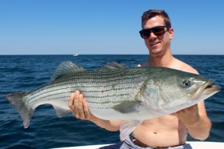 Deep Sea Fishing Cape Cod - Early August 2015