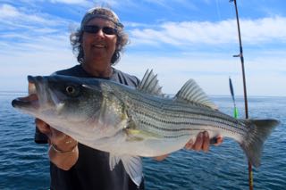 Deep Sea Fishing Cape Cod - Early August 2015