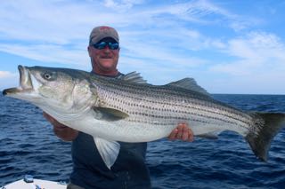 Deep Sea Fishing Cape Cod - Early August 2015