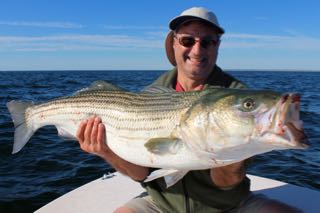 Deep Sea Fishing Cape Cod - Early August 2015